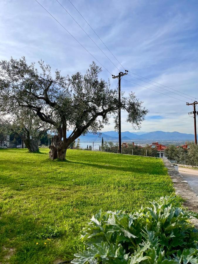 Ενtree Guest House Near Palamidi Castle Nafplio Luaran gambar